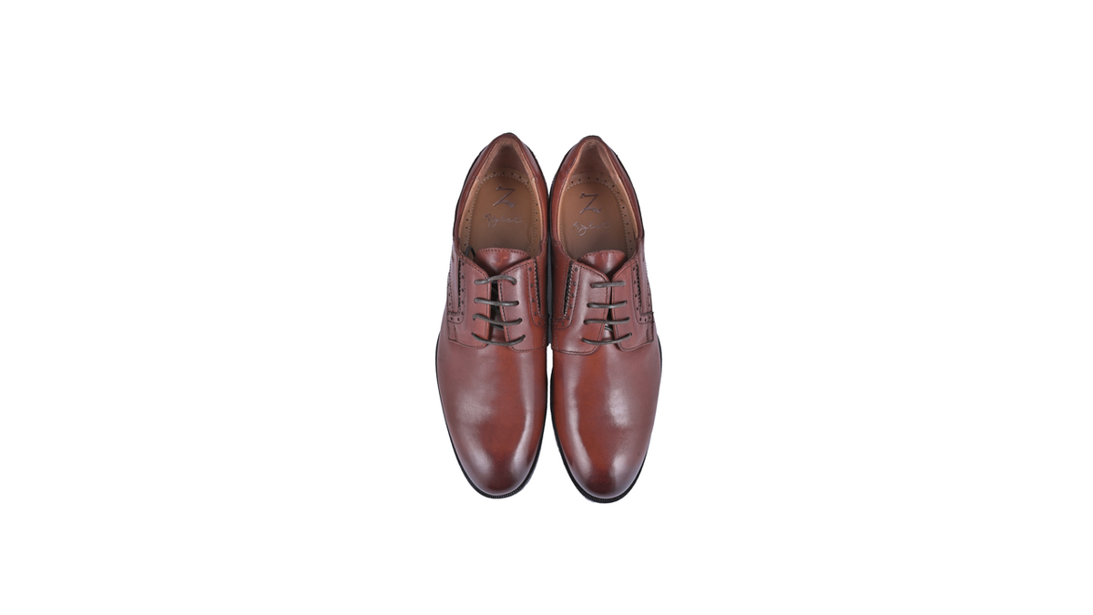 Classiq (Brown)