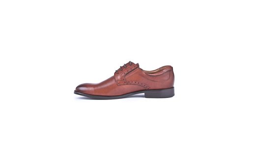 Classiq (Brown)