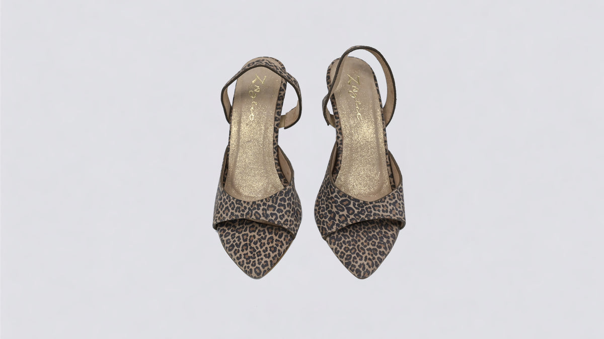 Datura Leopard
