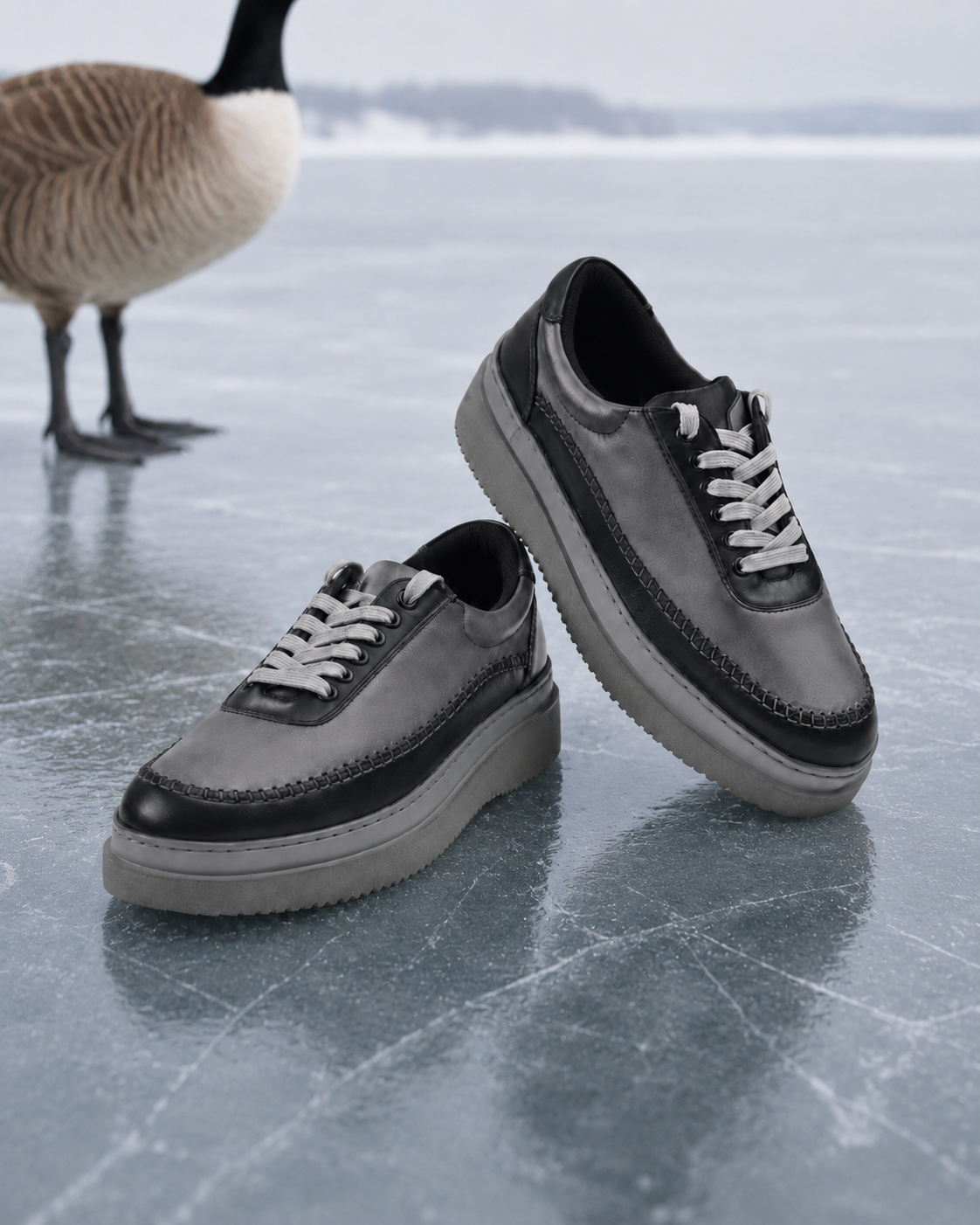 Grey Geese