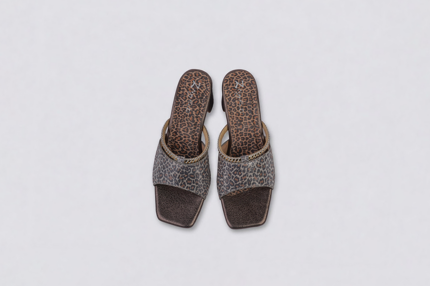Aster (Silver Leopard)