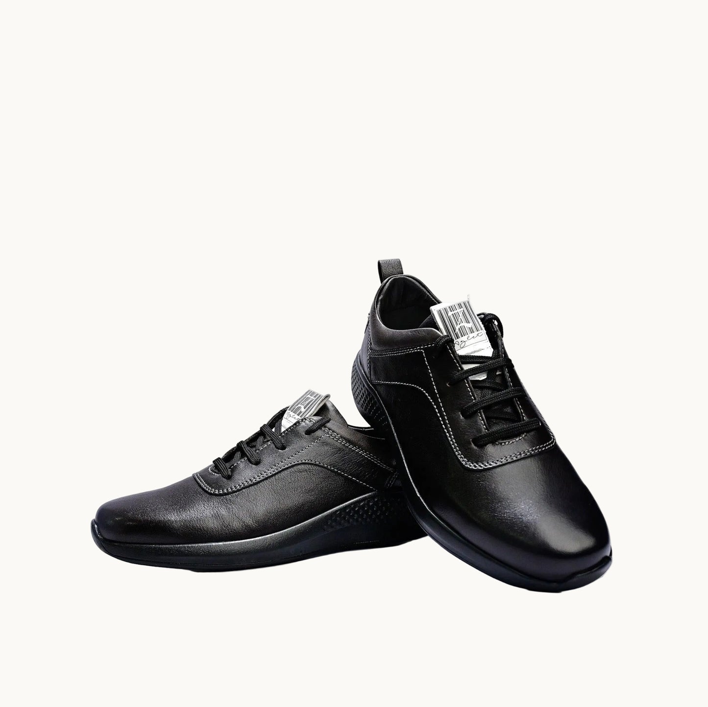 Cement Jungle - Z-Aglet 