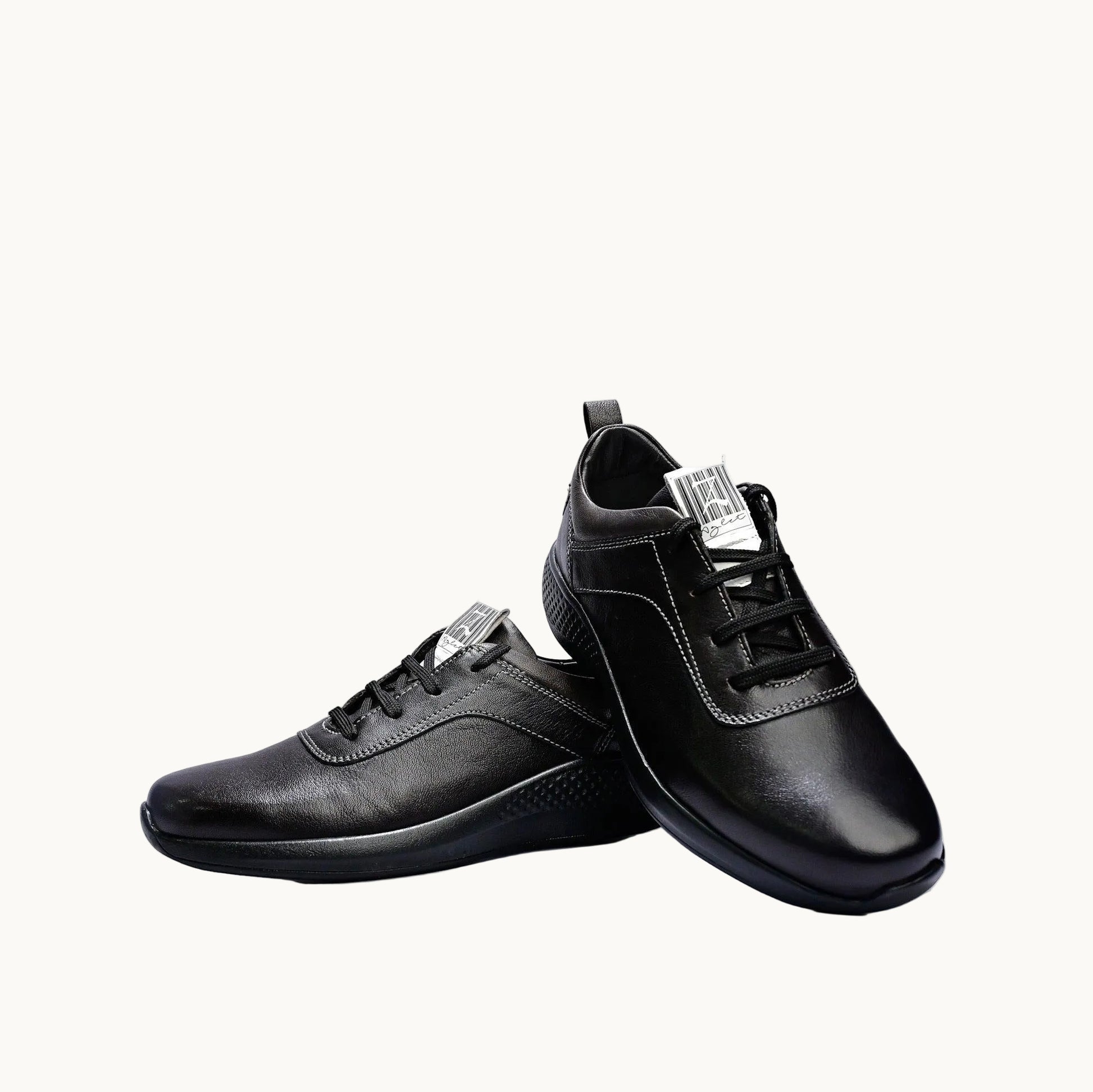 Cement Jungle - Z-Aglet 