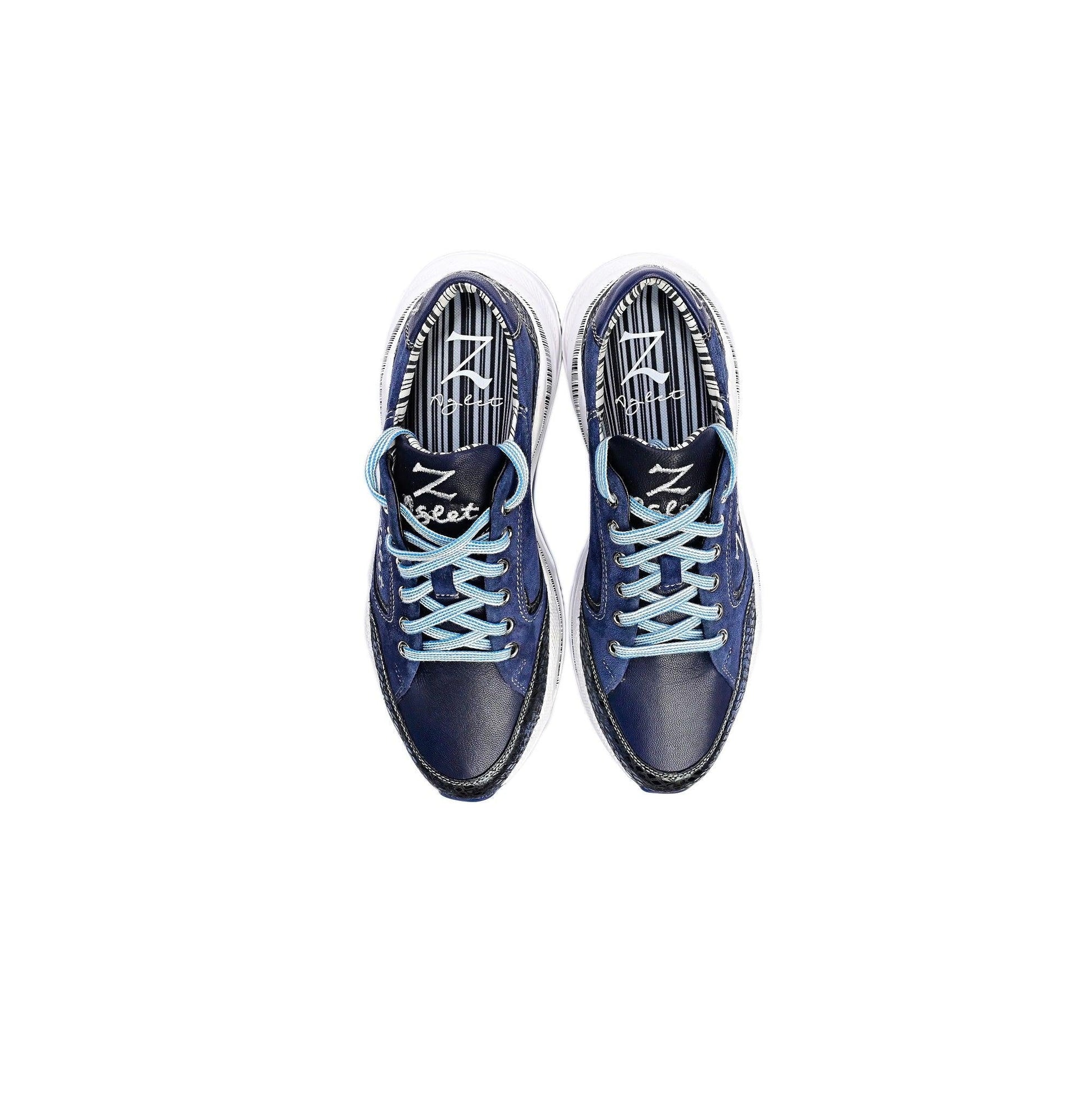 Firework Sparkle - Z-Aglet 