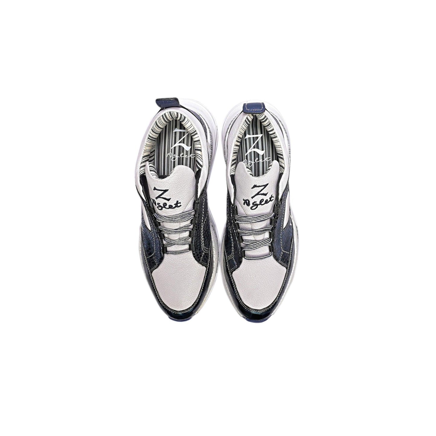 Neptune Hue - Z-Aglet 