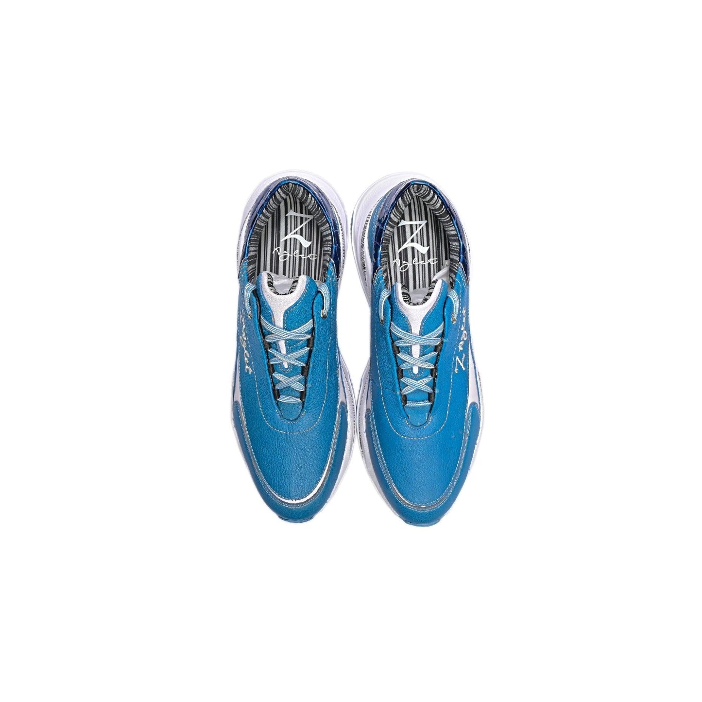 Olympic Pool - Z-Aglet 