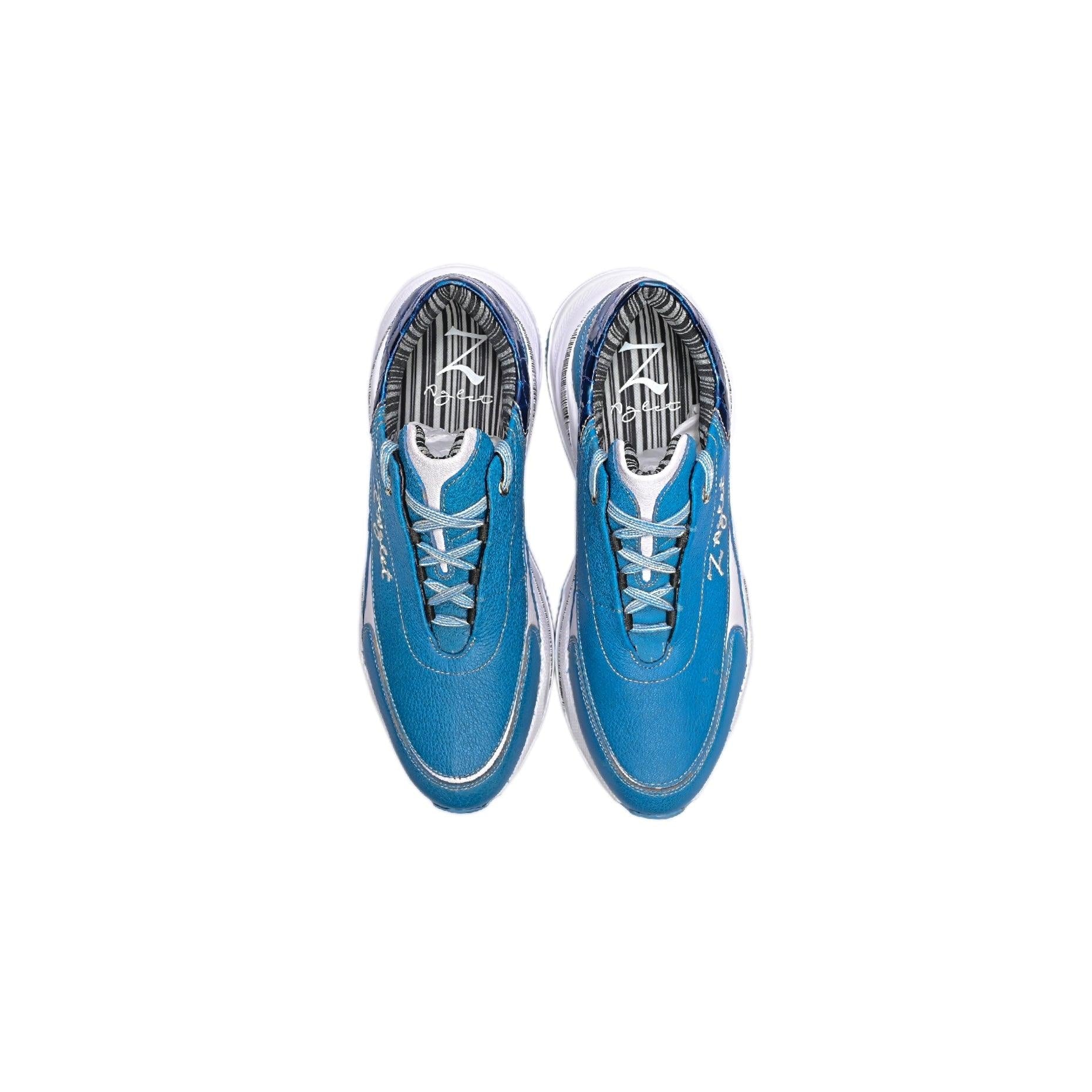 Olympic Pool - Z-Aglet 
