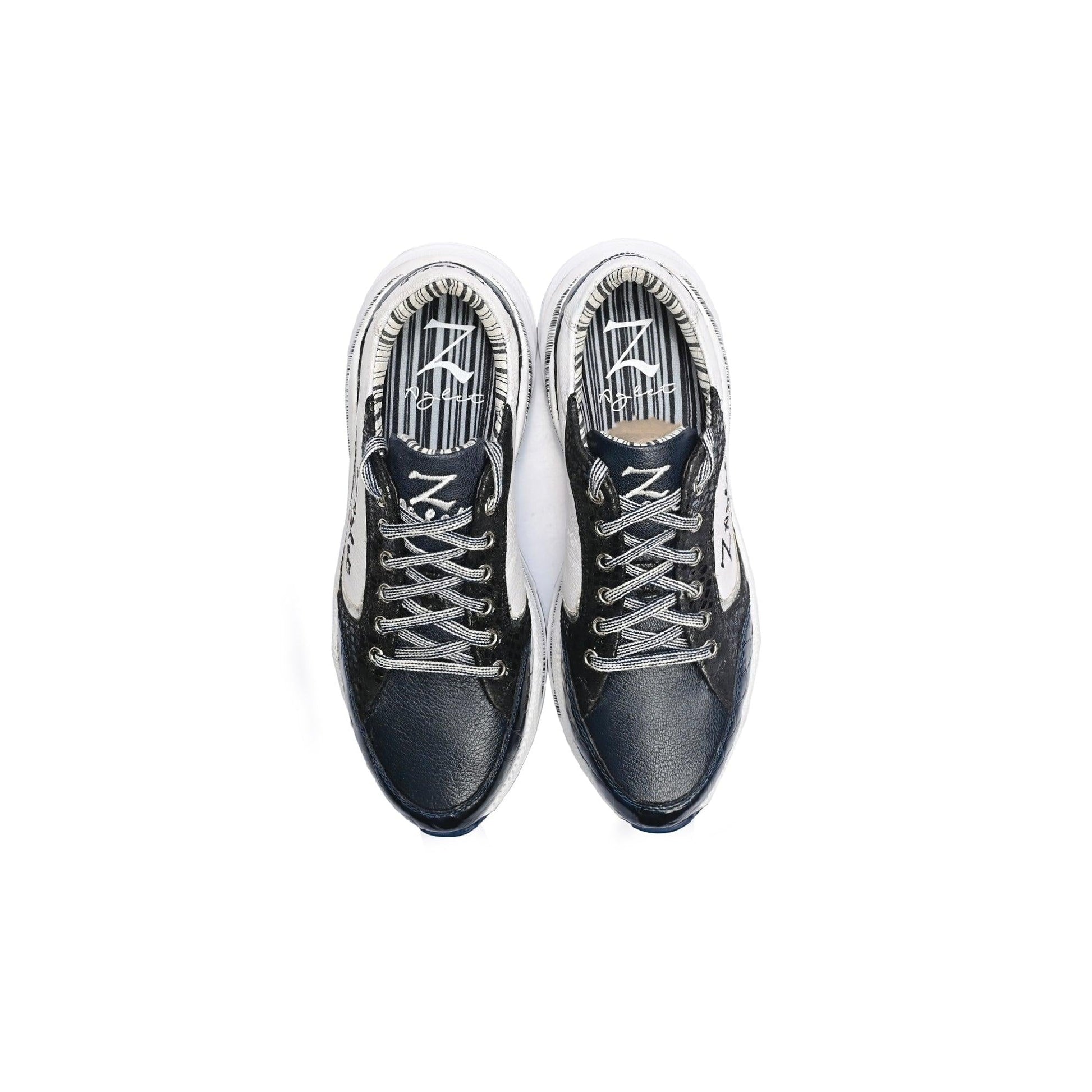 Orca School - Z-Aglet 