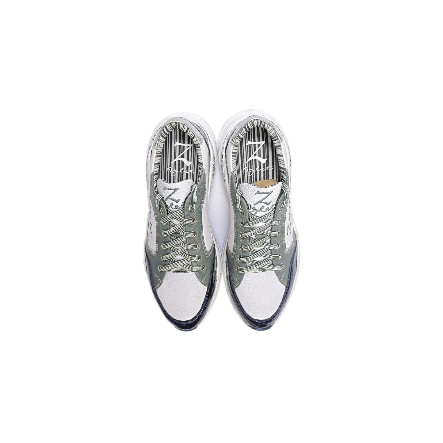 Shallow Lake - Z-Aglet 