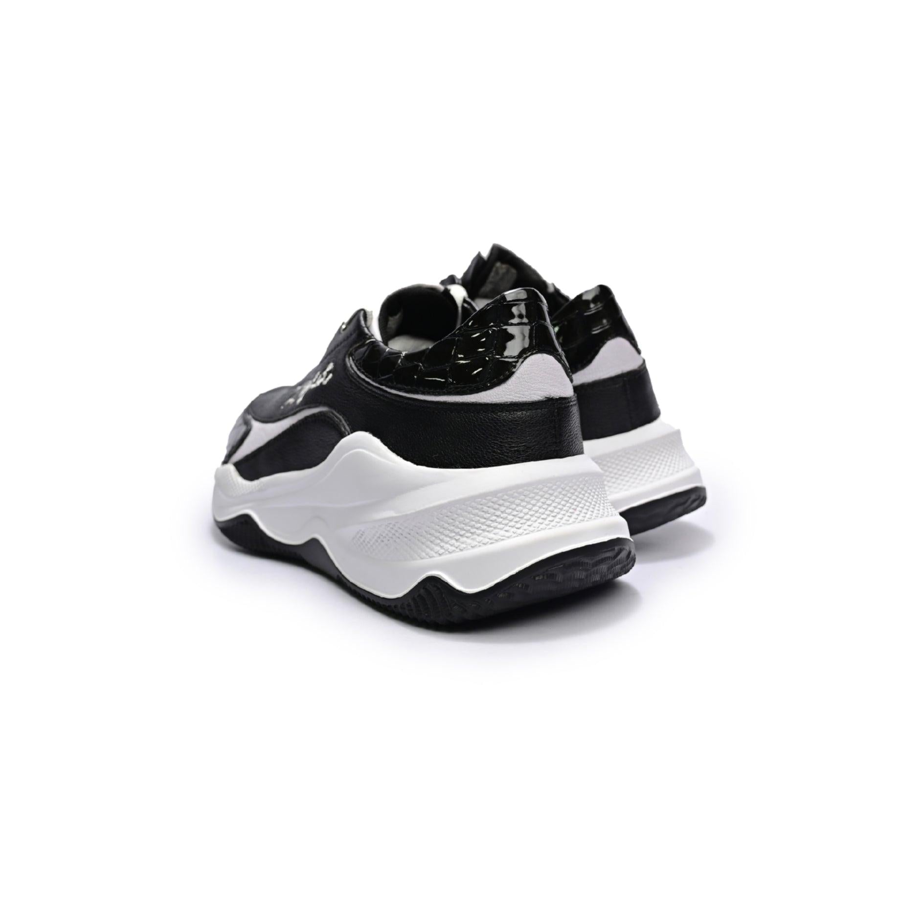Sleek Contrast - Z-Aglet 