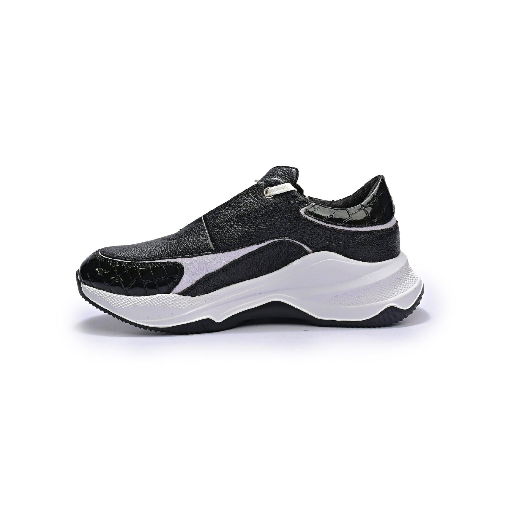Sleek Contrast - Z-Aglet 